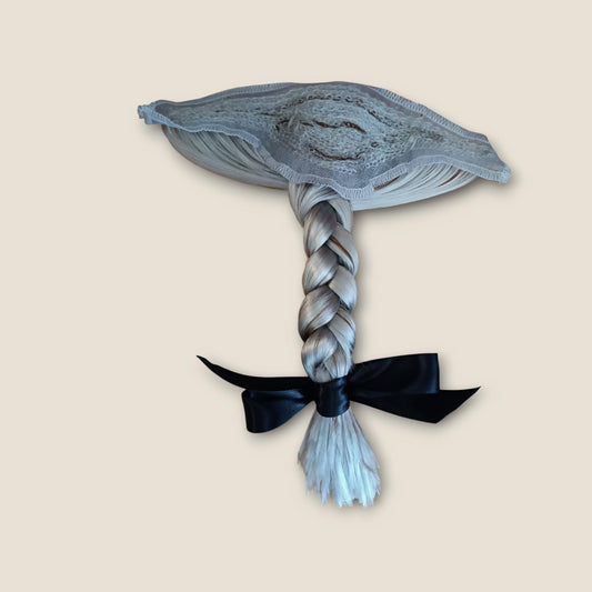 Gray With A Little Brown Braided Period Queue